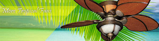 More Tropical Fan Variety