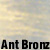 Antique Bronze Ceiling Fans
