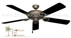 Outdoor Traditional Ceiling Fan