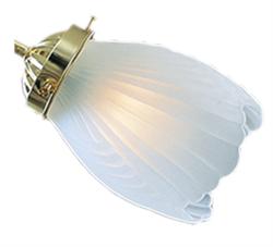 Frosted Shell 016