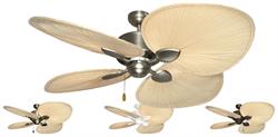 Palm Breeze II Tropical Ceiling Fan w/ 56