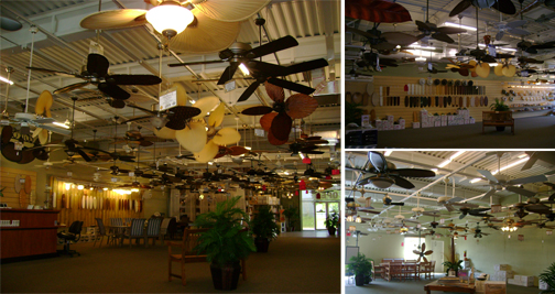 Ceiling Fan Store Picture